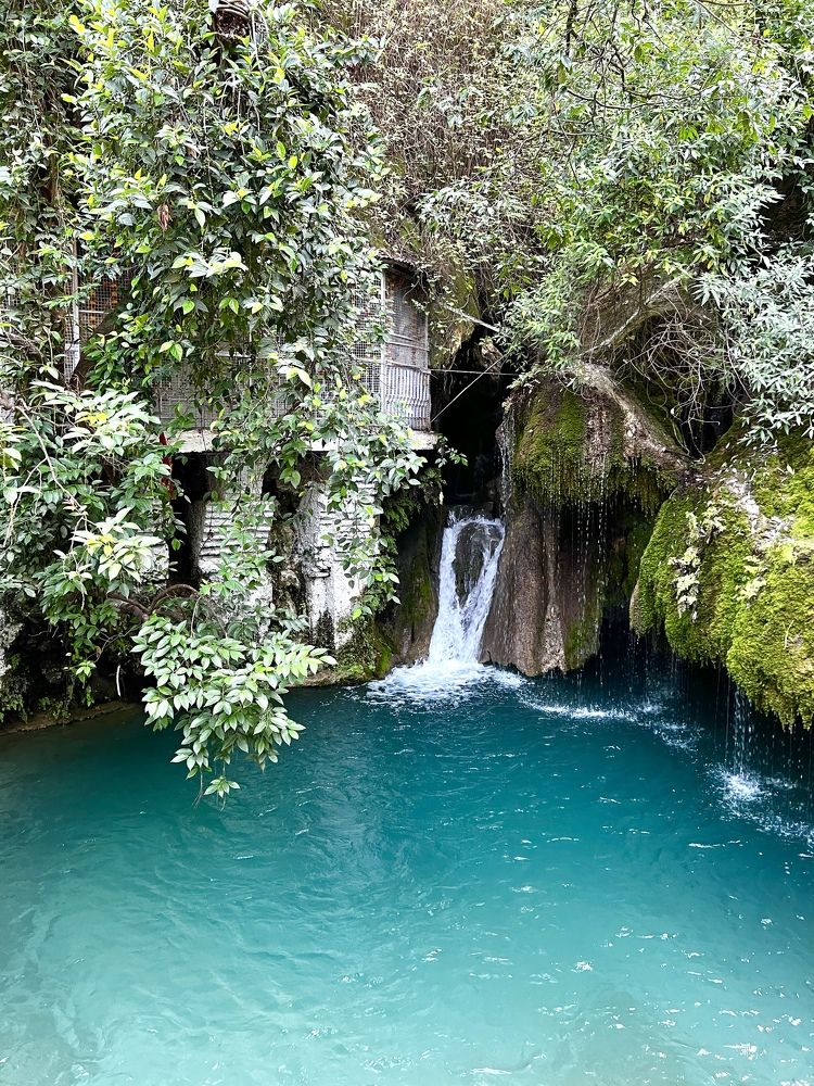 Photograph by Sharma Dr Megha