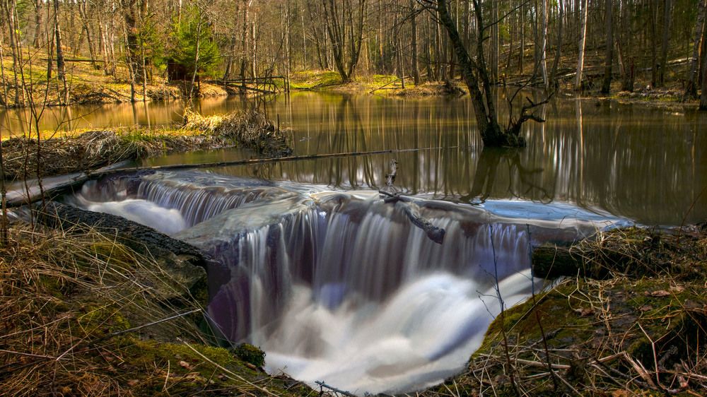 Photograph by Людмила Железнова