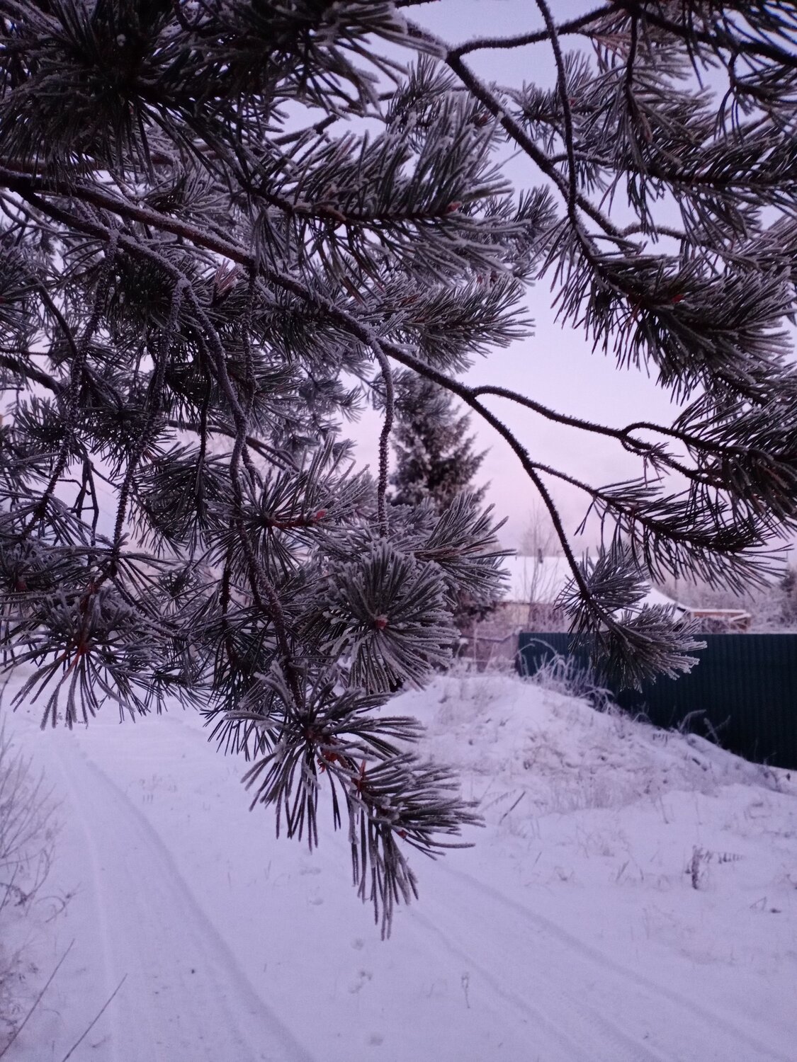 Photo #8609093
