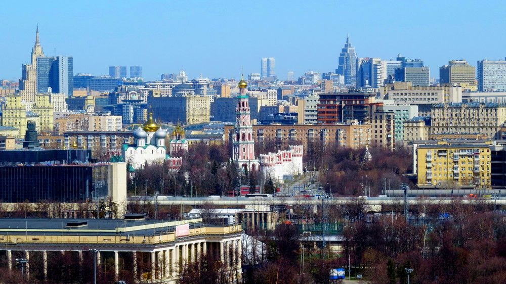 Каменные джунгли