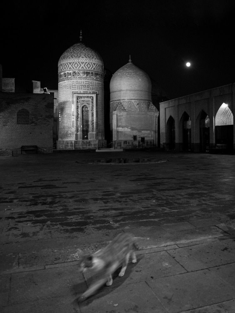 Photograph by Parham lotfinejad