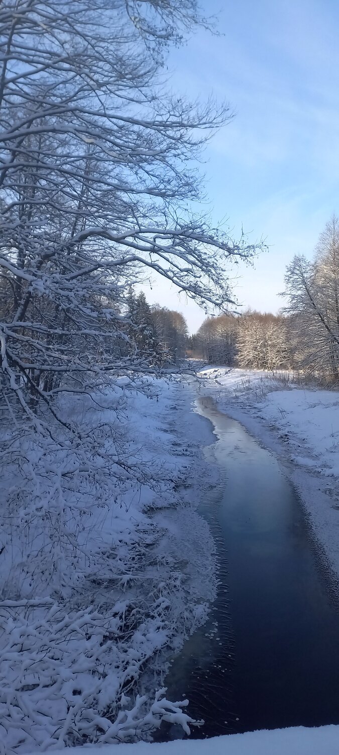 Photo #8609171