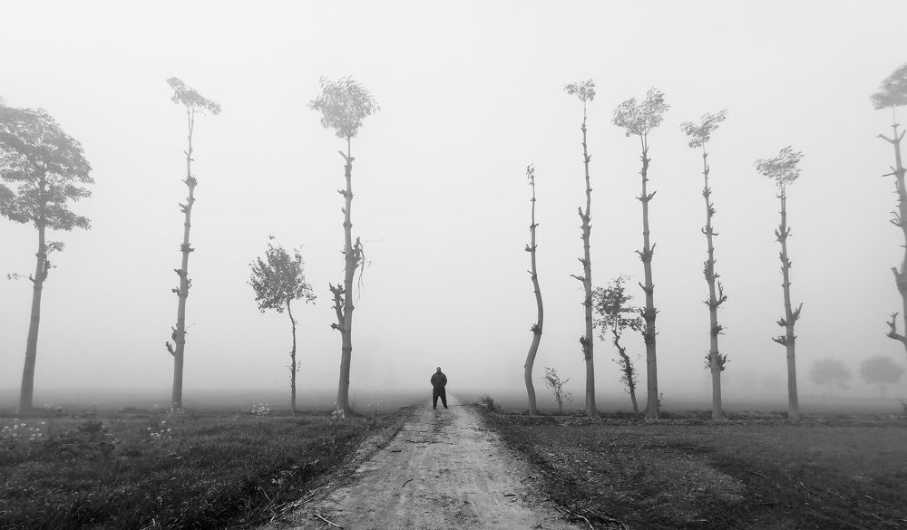 Photograph by Zee Shaan