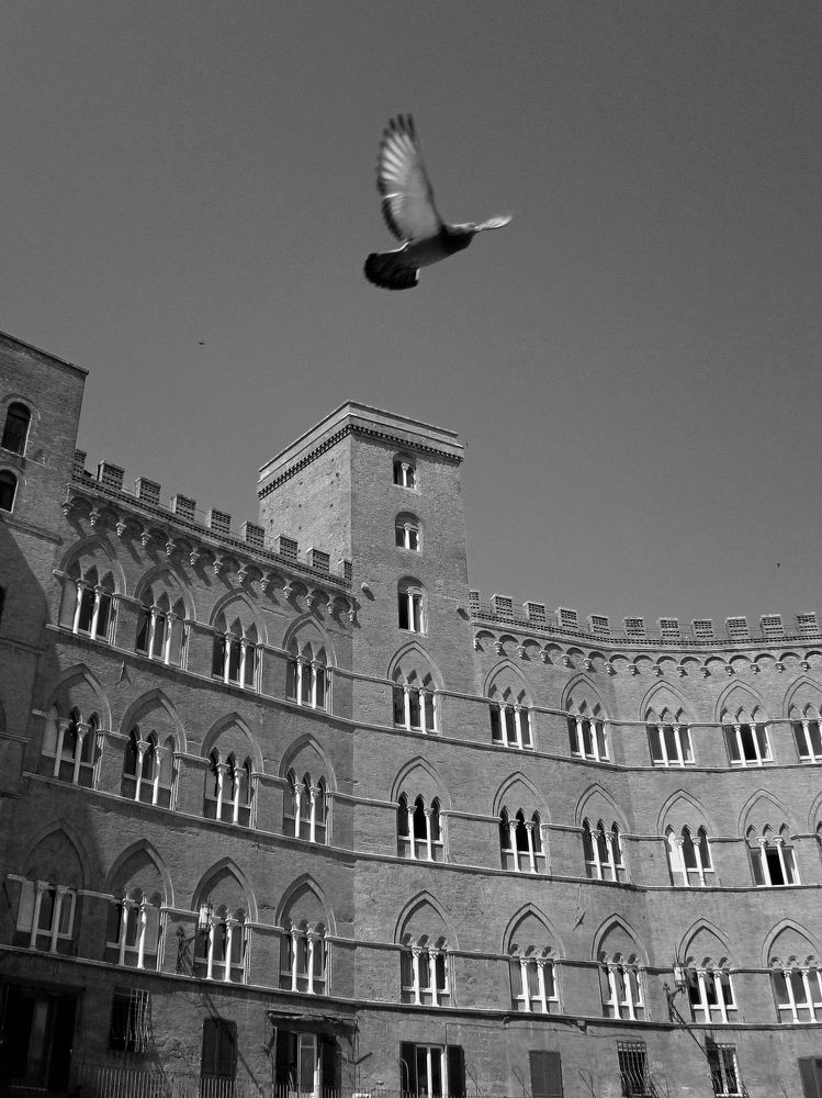 Photograph by Eлена Смирнова