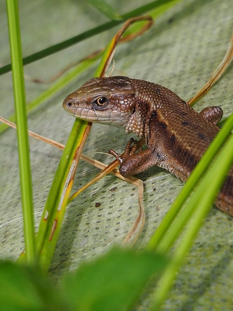 Photograph by Синицына Елена