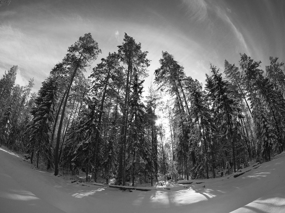 Photograph by Александр Максимов