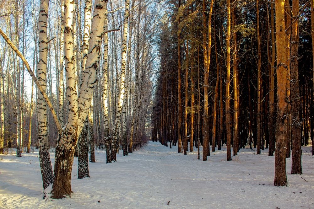 Фотография автора Анна Широкова