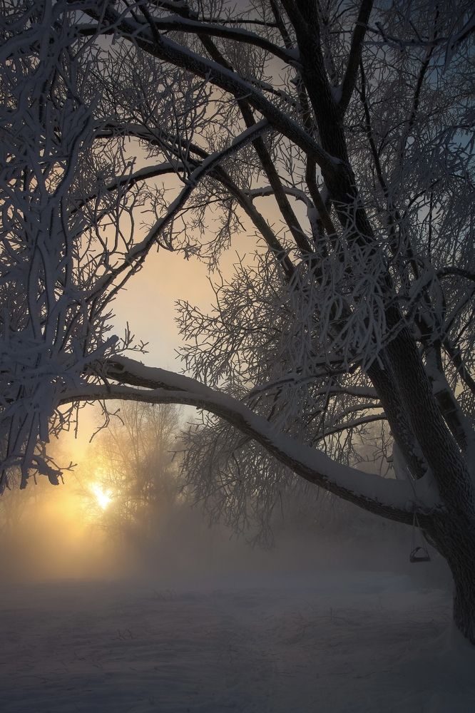 Photograph by Олеся