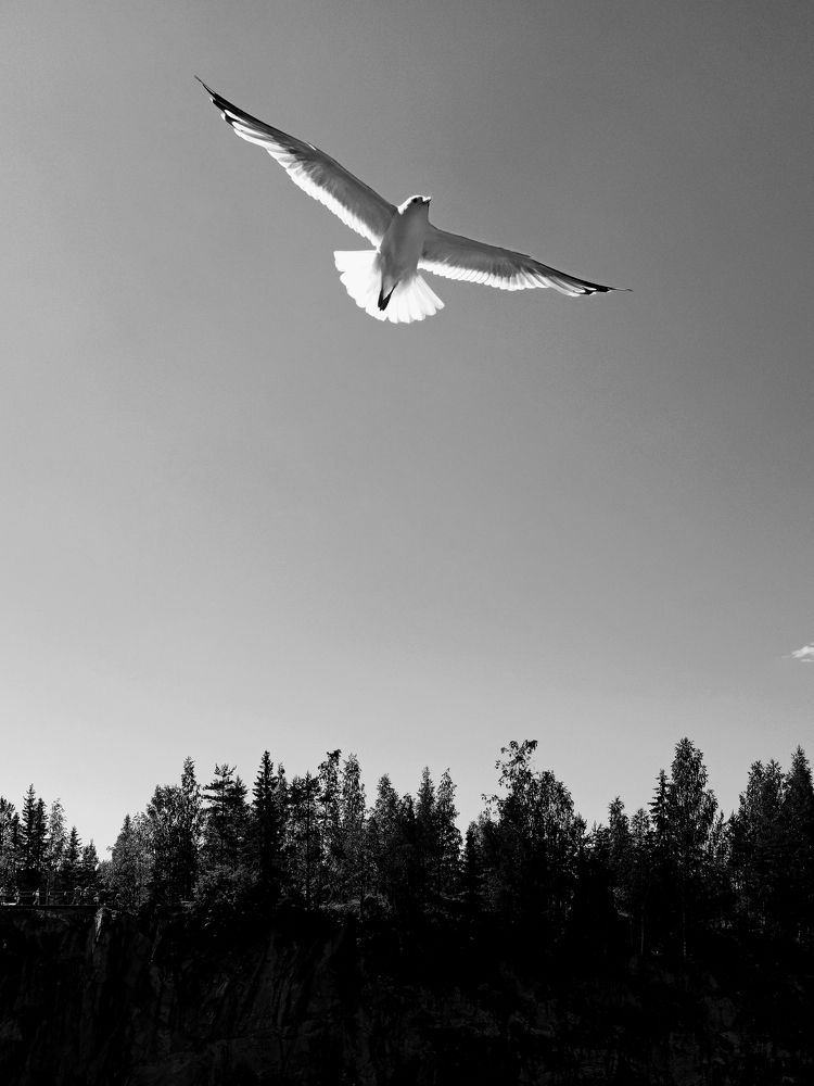 Photograph by Eлена Смирнова