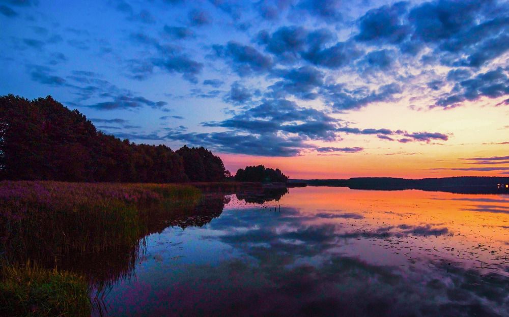Фотография автора Александр Буренко