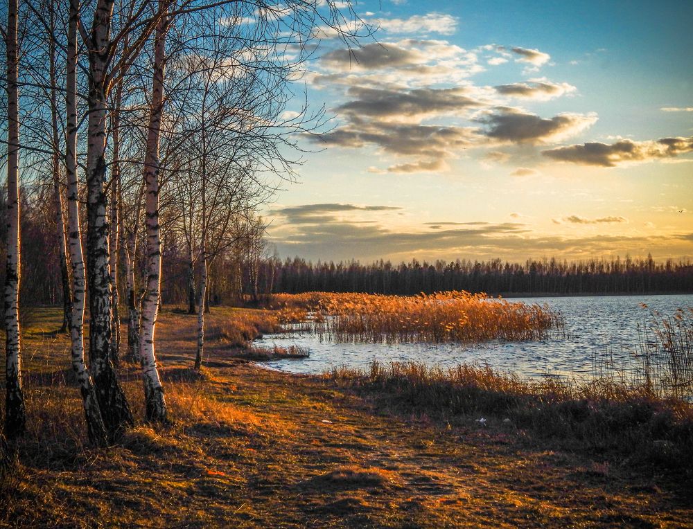 Photograph by Диана Бородзе