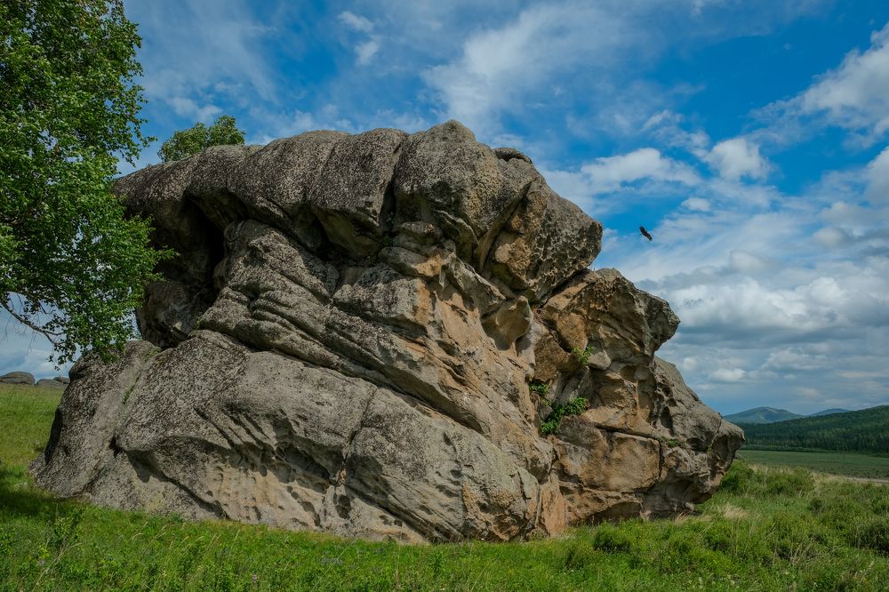 Photograph by Марина Шумакова