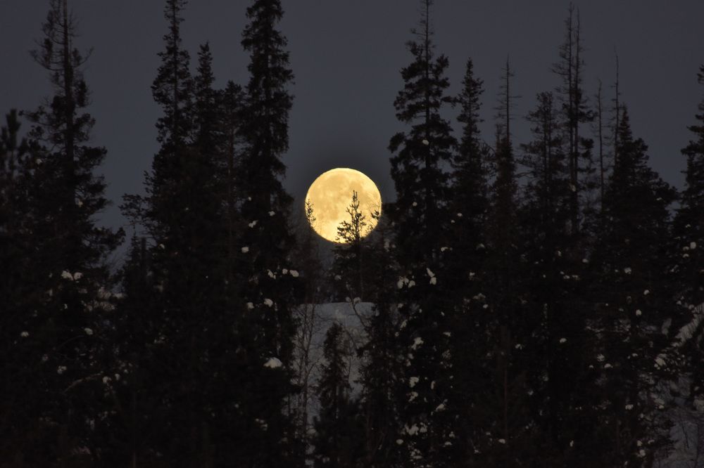 Photograph by Ирина Алексеевна Дудаль-Вологодская