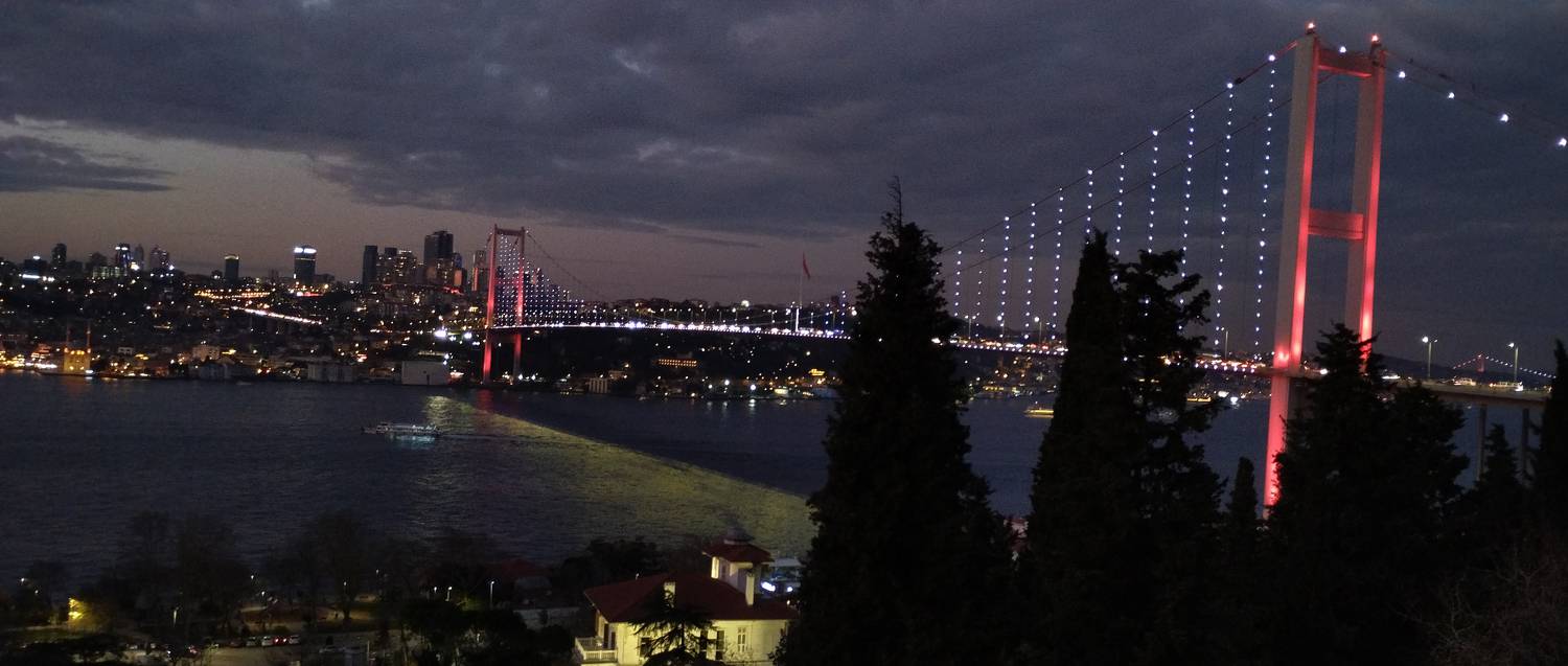 Photo #8609481