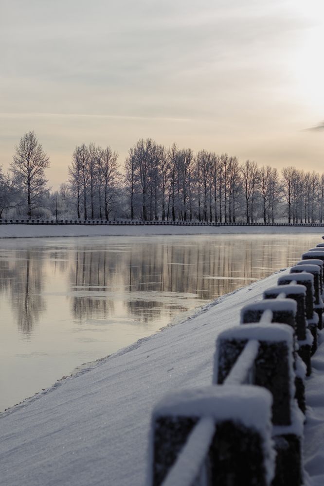 Photograph by Anna Dubinina