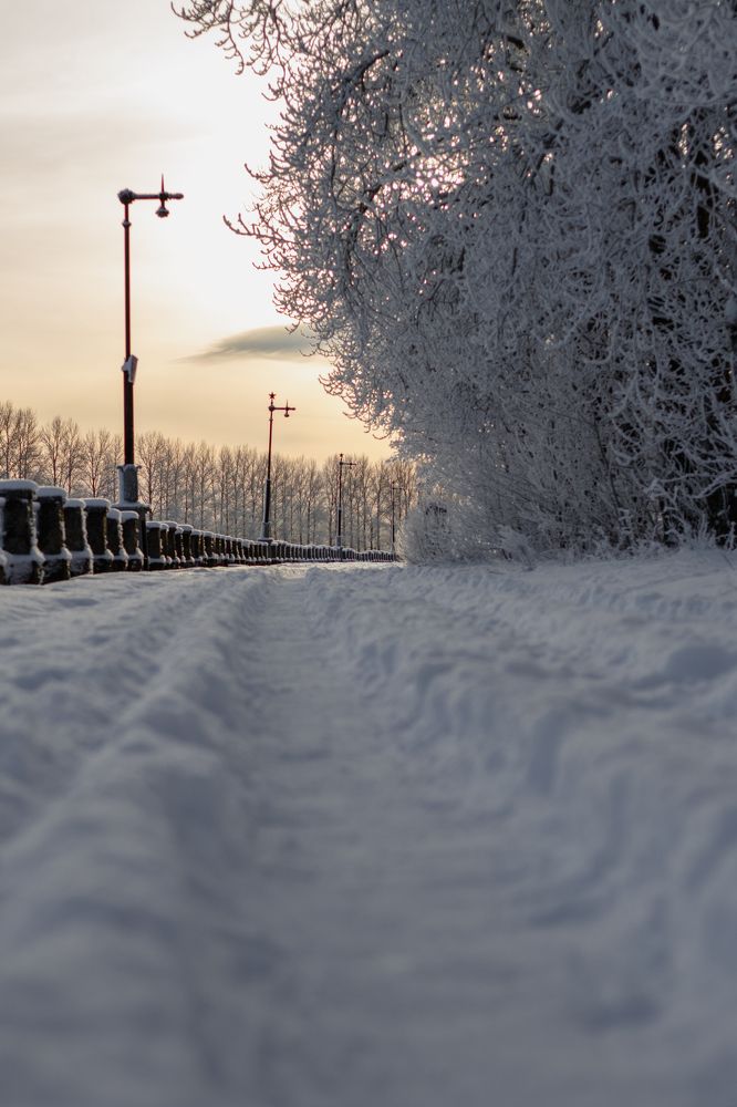 Photograph by Anna Dubinina