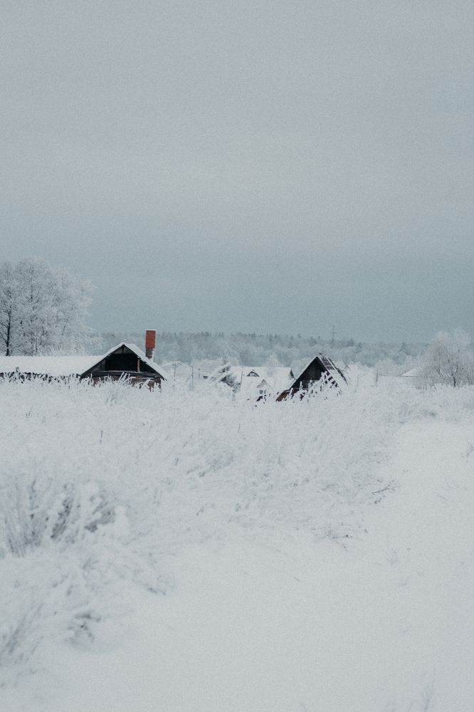 Photograph by Anna Dubinina