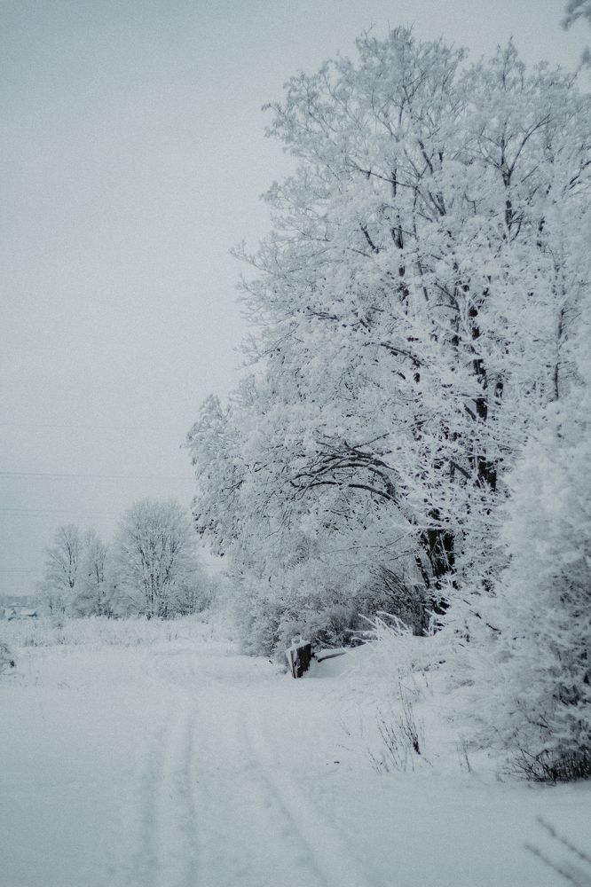 Photograph by Anna Dubinina