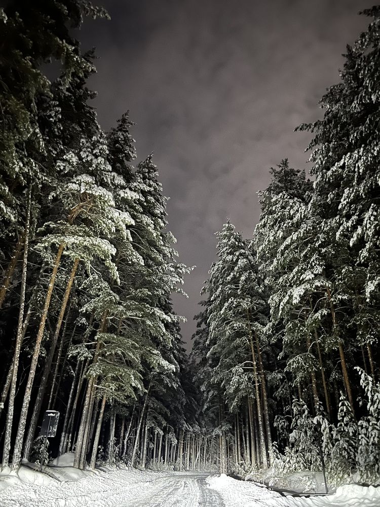 Photograph by Марьяна