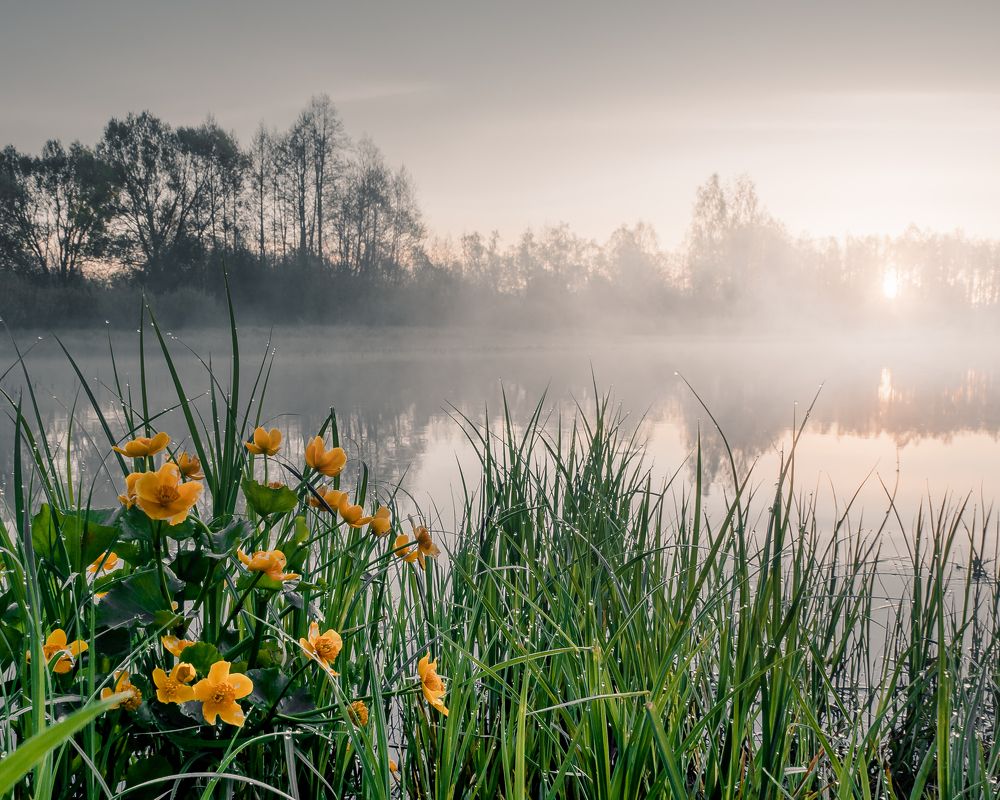 Photograph by Сергей Богданов