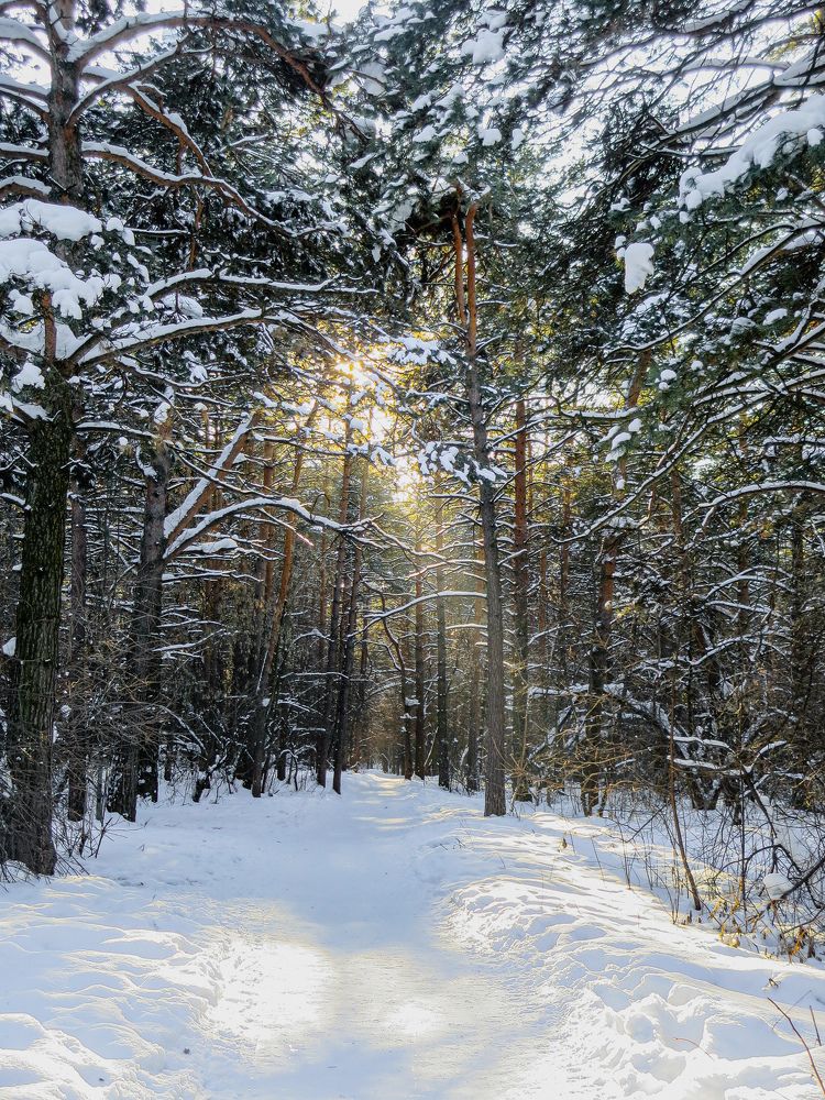 Photograph by Дарья Овсянникова