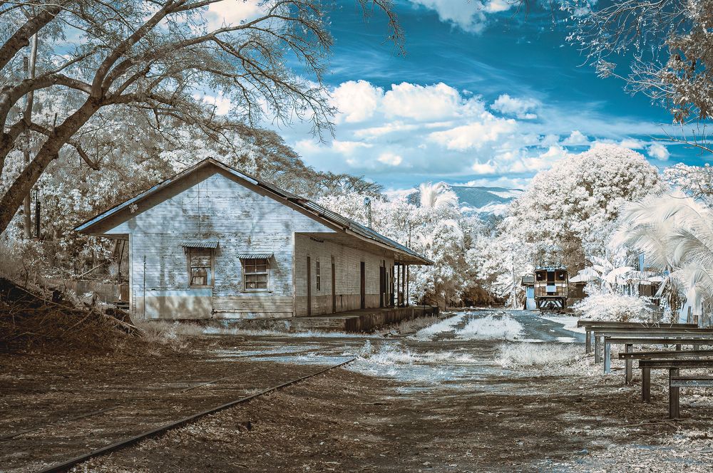 Photograph by Marco Retana