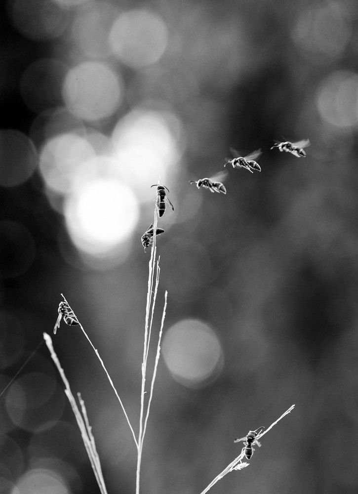 Photograph by Syamsul Alam