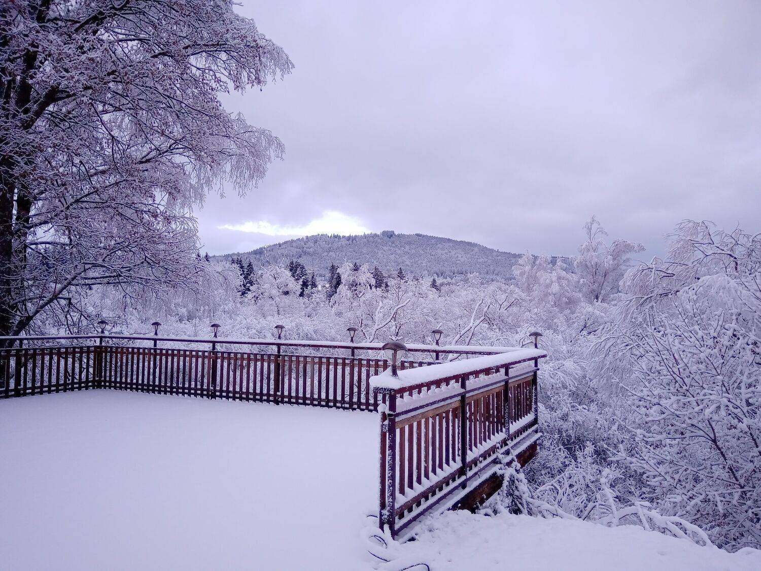 Photo #8609656