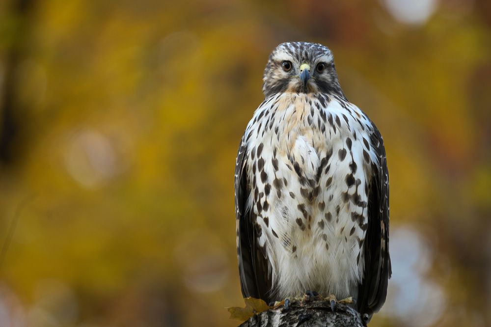 Photograph by Nathalie Talbot