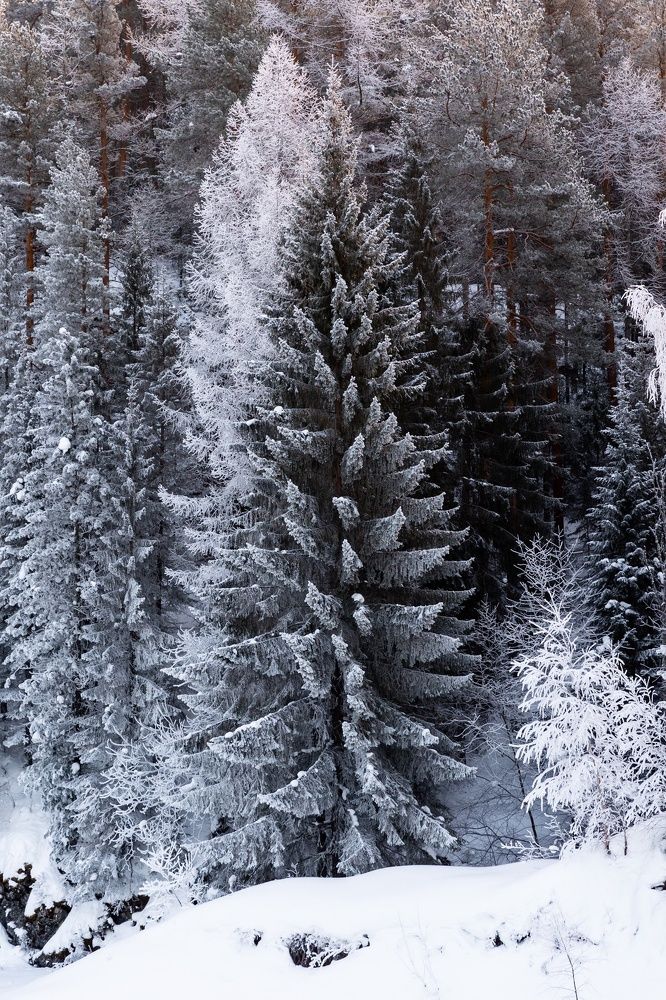 Фотография автора Алексей Крючков