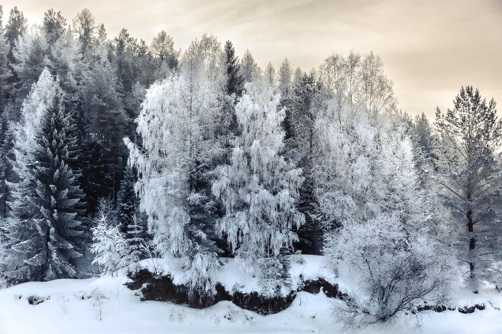Фотография автора Алексей Крючков