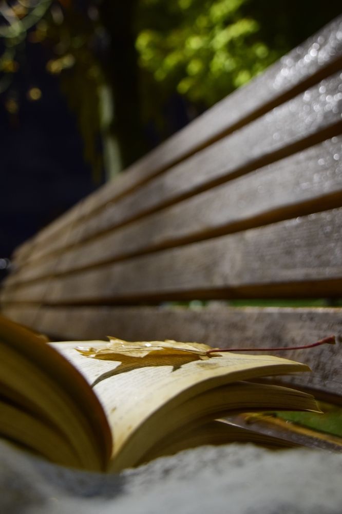 Photograph by Ольга Рыкова