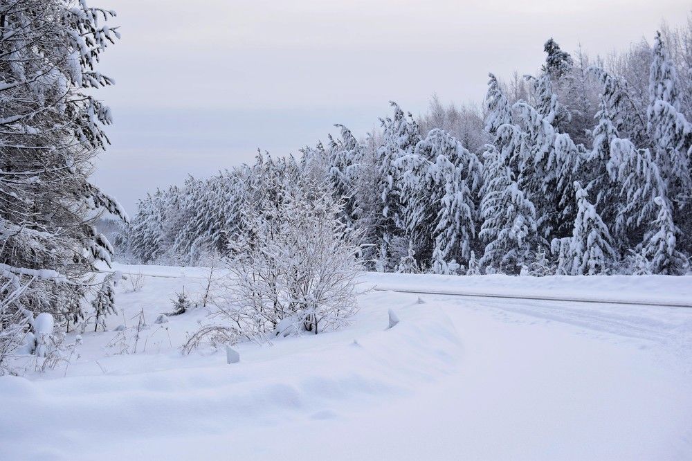 Photograph by Анна Киселева