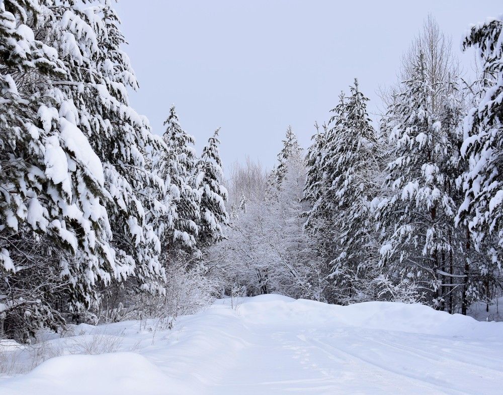 Photograph by Анна Киселева