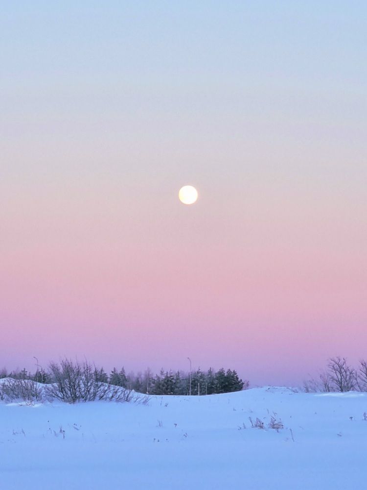 Photograph by Ангелина Шикина