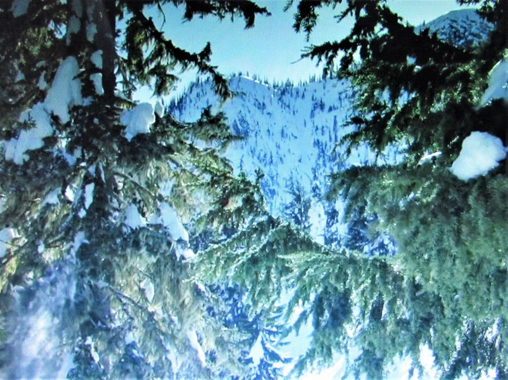 Photograph by Галина