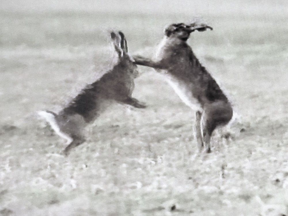 Photograph by Галина