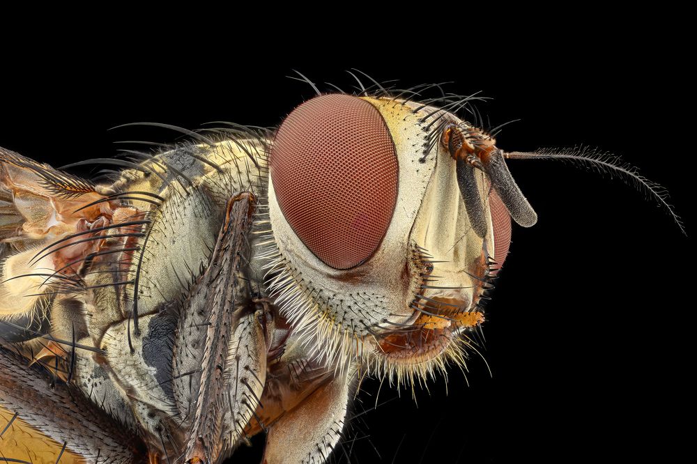 Photograph by Marco Retana