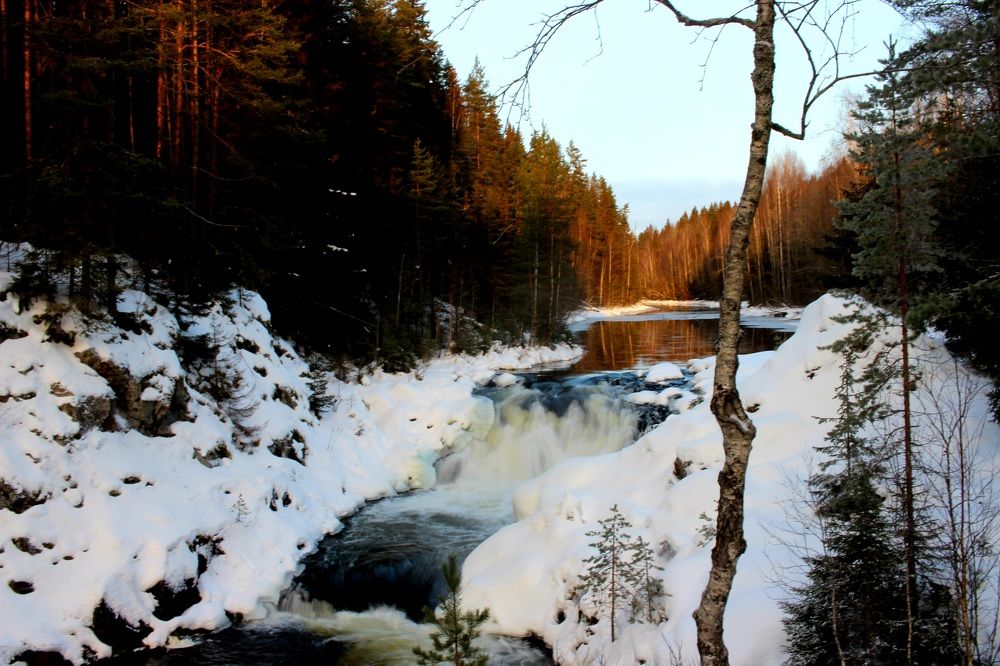 Photograph by Елена Петрова