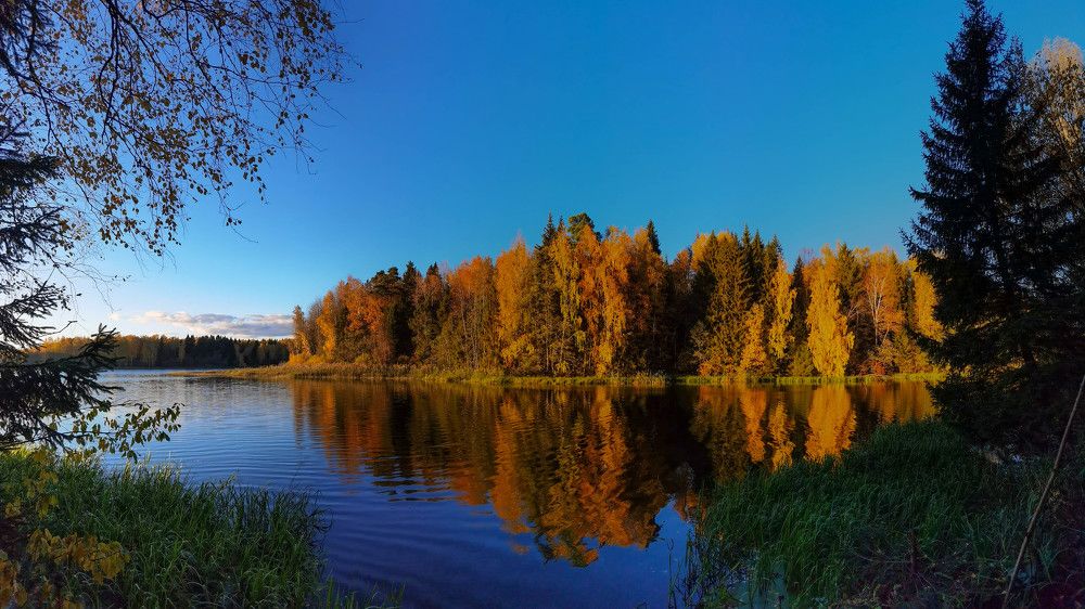Photograph by Юлия
