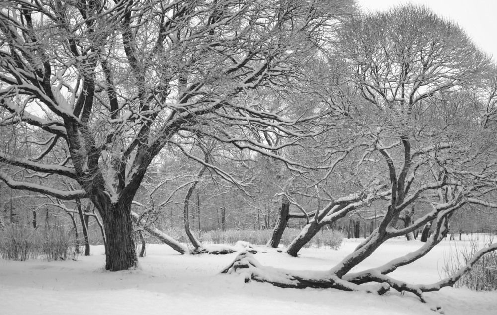 Фотография автора Галина