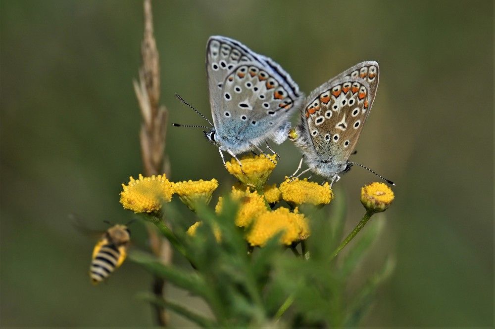 Фотография автора IRINA FILIPPOVA