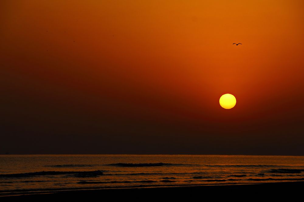 Photograph by Mahdi Reihani Bozorg