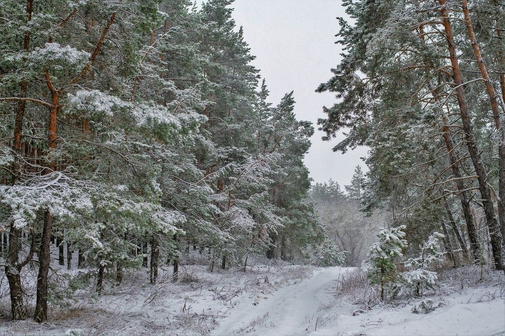 Photograph by Алексей Сиваков