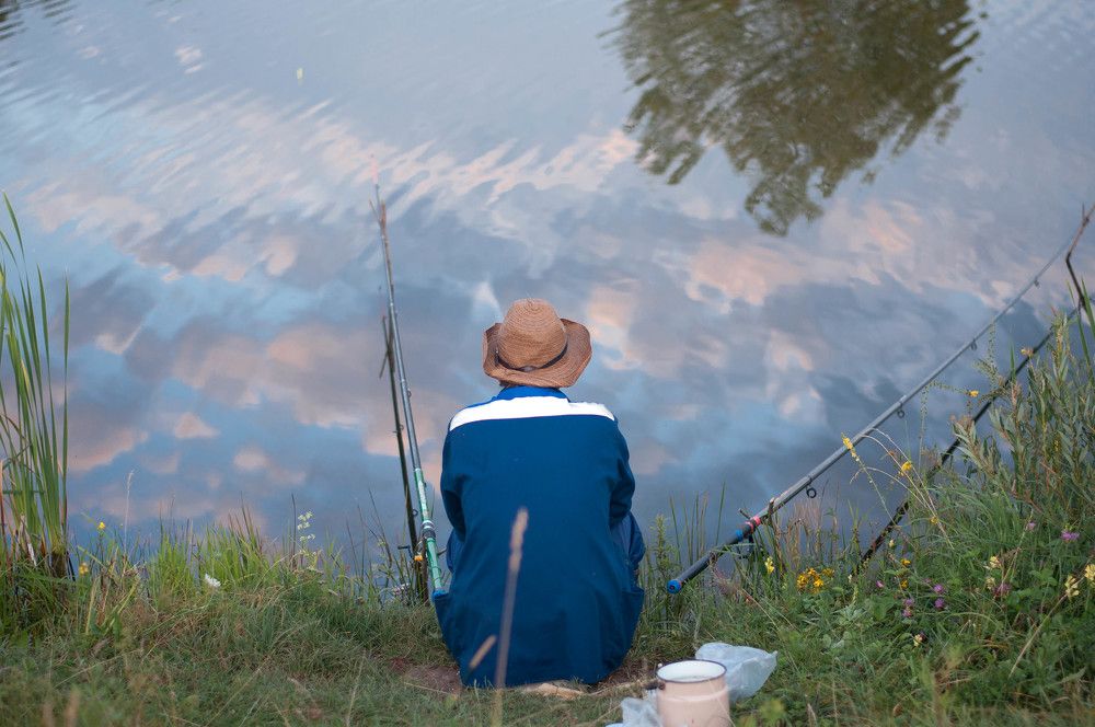 Photograph by Татьяна Зубехина