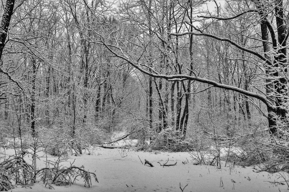 Photograph by Алексей Сиваков