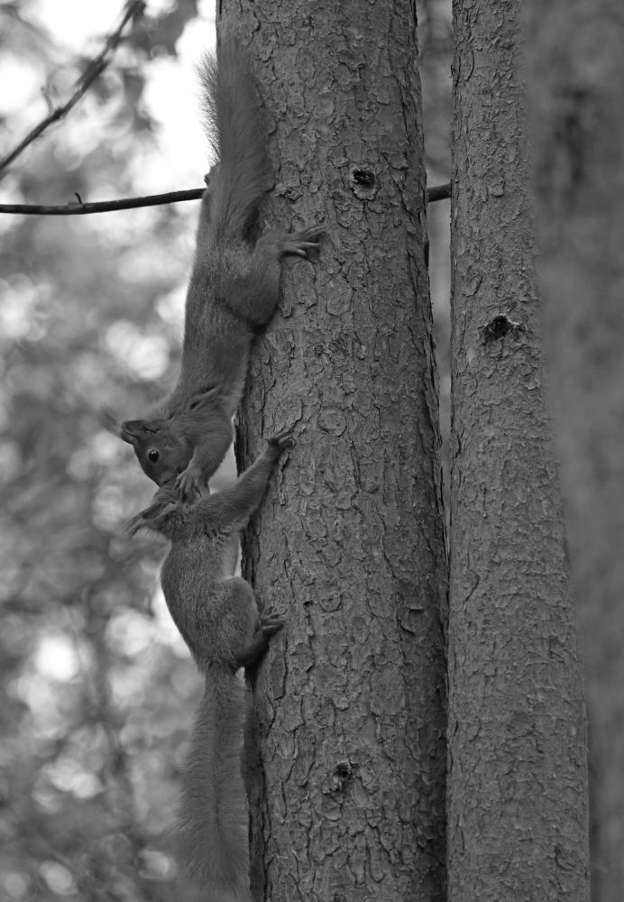 Фотография автора Юрий Кетель