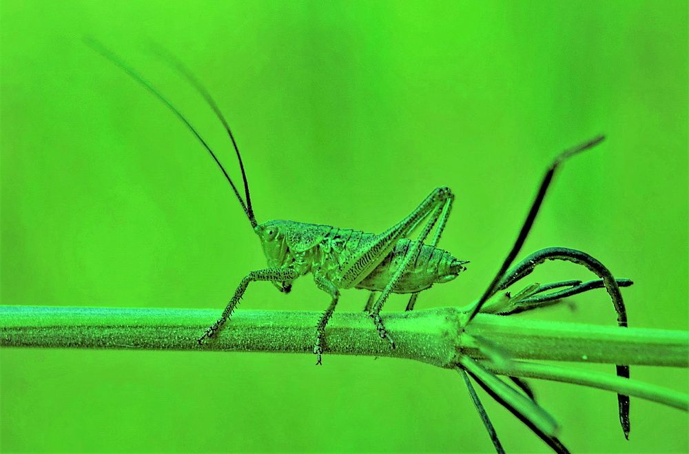 Photograph by Алексей Сиваков