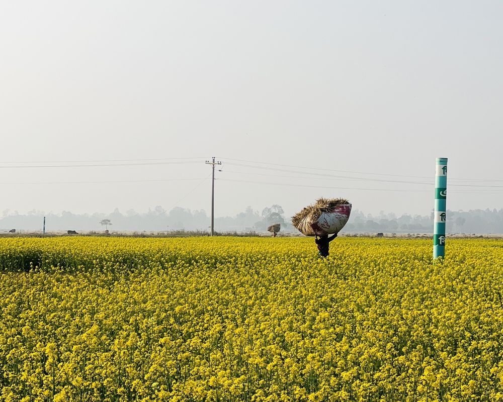 Photograph by MD. Shadman Khan