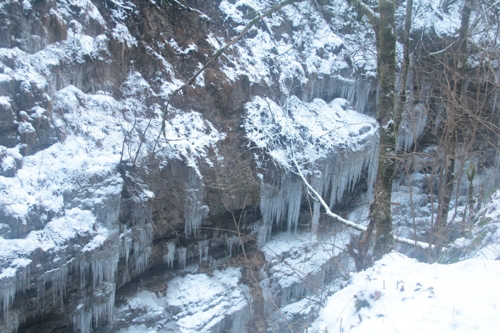 Photograph by Татьяна Долгушева